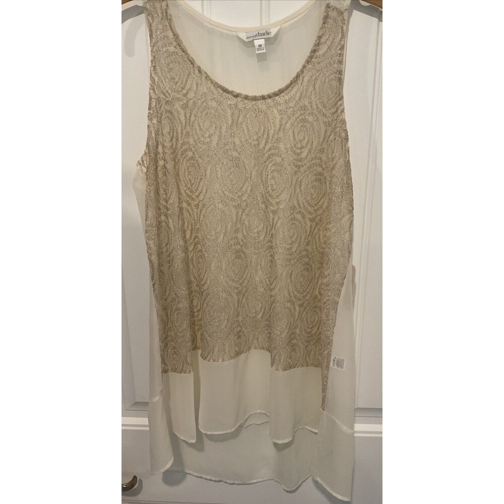 NWT Charming Charlie Sheer Cream & Silver Hi-low Hem Sleeveless Blouse Medium